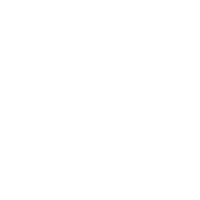 Ochrona IP